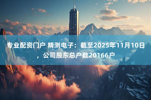 专业配资门户 精测电子：截至2025年11月10日，公司股东总户数20166户