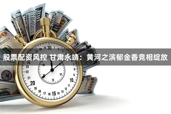 股票配资风控 甘肃永靖：黄河之滨郁金香竞相绽放